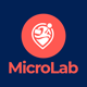 MicroLab - Micro Job Freelancing Platform - CodeCanyon Item for Sale