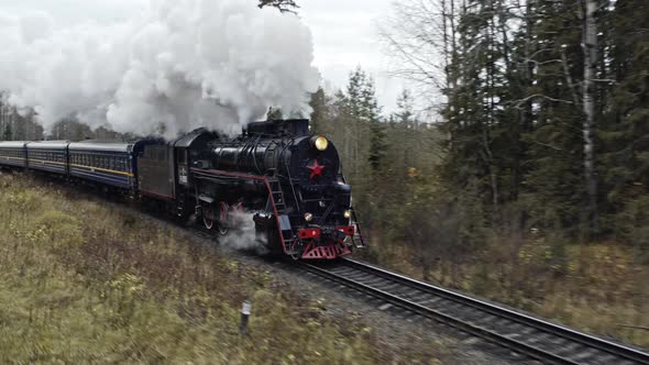 Steam vintage locomotive pass over the forest.