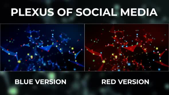 Plexus Of Social Media