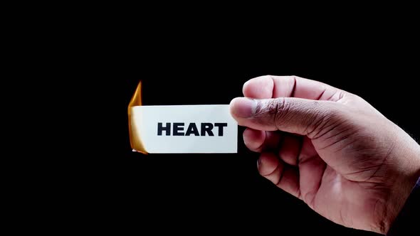 Burning Paper Writing Heart