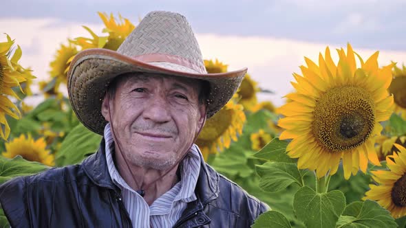 Portrait of a senior farmer in a field of sunflowers. Agricultural businessman