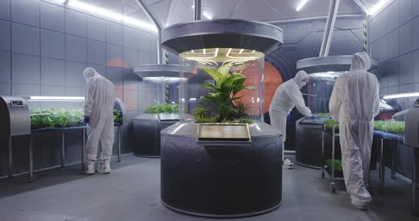 Scientists in Hazmat Suit Checking Plant Incubators alt