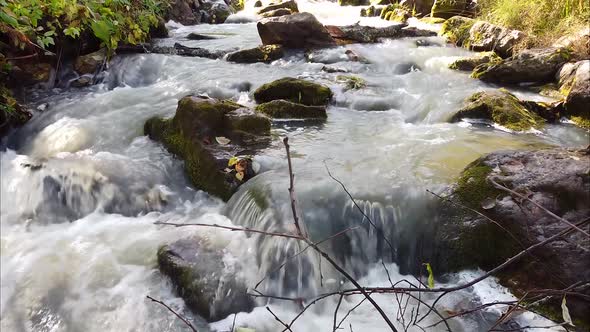 Flight of an Unmanned Camera Directly Over the Water of a Mountain River Among Trees Forests Planes