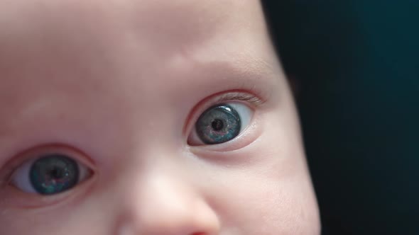 Closeup Big Blue Green Eyes of Caucasian Baby Infant Child Look Camera