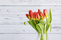 tulips with white wood plank wall - PhotoDune Item for Sale