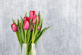 beautiful tulips flower with gray wall - PhotoDune Item for Sale