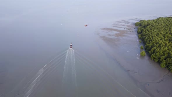 Aerial view fishing boat move near mangrove swamp.