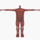 Colossal Titan - 3DOcean Item for Sale