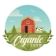 Farm Organic Agriculture Barn and Cow on Field - GraphicRiver Item for Sale