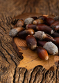 acorns on rustic wooden background - PhotoDune Item for Sale