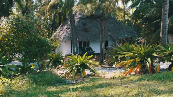 Tropical Beach Hotel with Thatched Roofs in Palm Groves By Ocean Zanzibar Paje