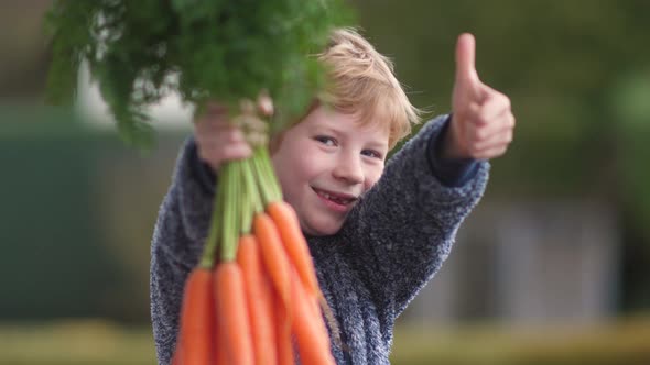 Happy young boy with bunch of fresh carrots alt