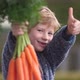 Happy young boy with bunch of fresh carrots - VideoHive Item for Sale
