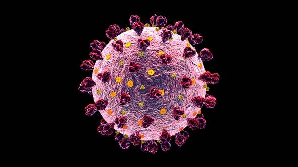 Coronavirus Covid 19 Cell alt