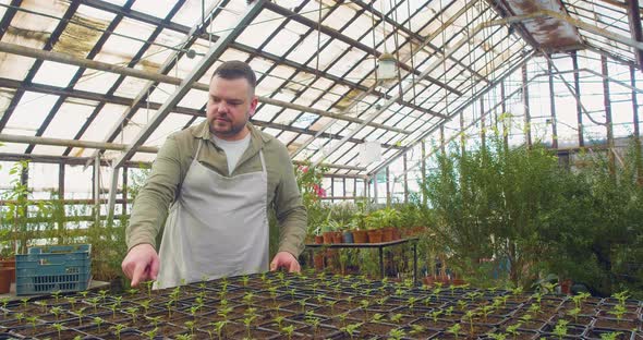 A Man in a Greenhouse Counts Seedlings in Pots