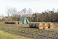 Round Bales of Hay - PhotoDune Item for Sale