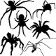 Spider vector silhouettes - GraphicRiver Item for Sale
