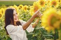 Brunette woman in white costume walking in sunflower field - PhotoDune Item for Sale