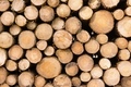 Wooden Logs - PhotoDune Item for Sale