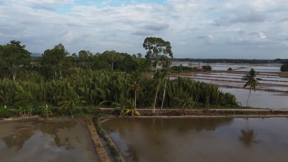 Drone shot countryside near paddy field