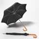 Umbrella Classic - 3DOcean Item for Sale