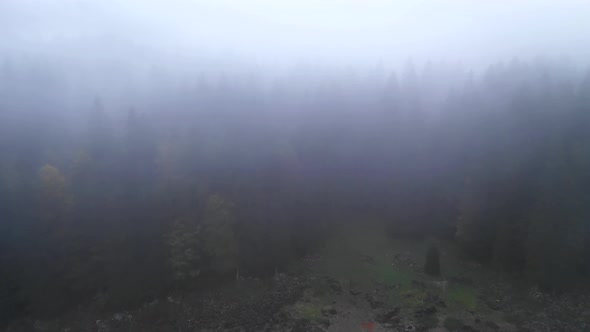 Flying over a misty autumn forest