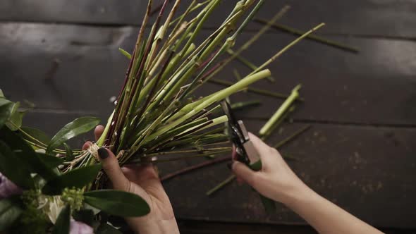 Beautiful Female Hands Cut the Stems of Flowers with a Pruner on a Dark Surface