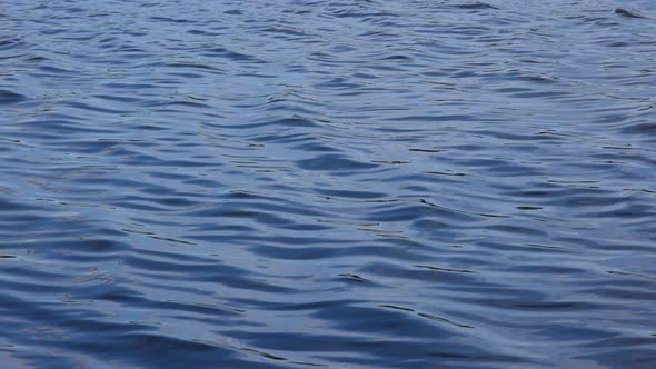 Background of blue water waves