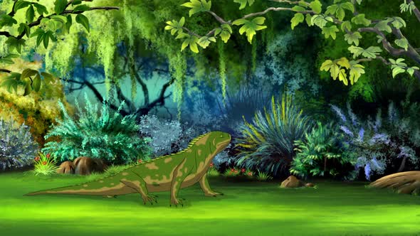 Green iguana in the rainforest