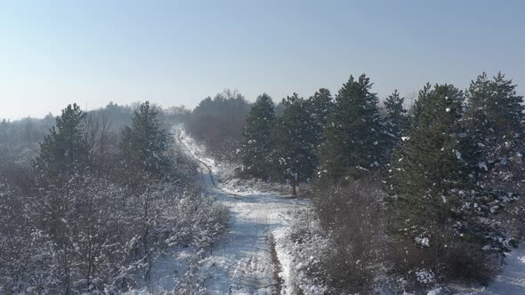 Descending on path in the woods after snowing 4K aerial footage