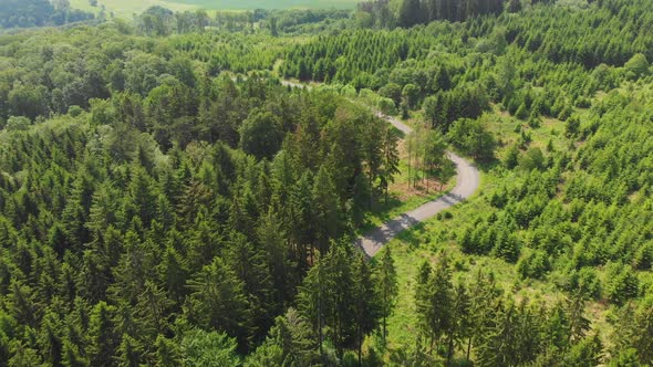 small road winding through a forest