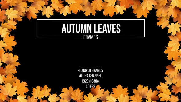Autumn Leaves Frames