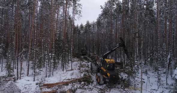 Aerial view of Forest Forwarder stacks tree logs in the winter forest 32