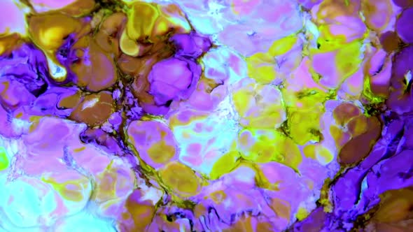 Liquid Colorful Paint Pattens Mix In Slow Motion alt