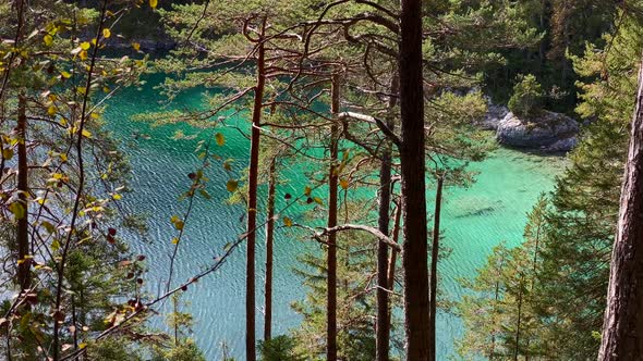 Forest with the beautiful Eibsee lake in Bavaria behind, with turquoise water, very close to the Zug