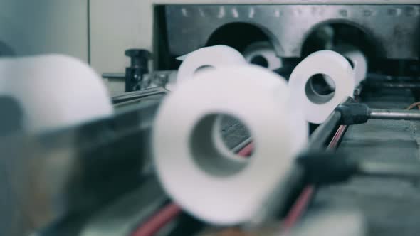 Multiple Paper Rolls Are Moving Along the Conveyor