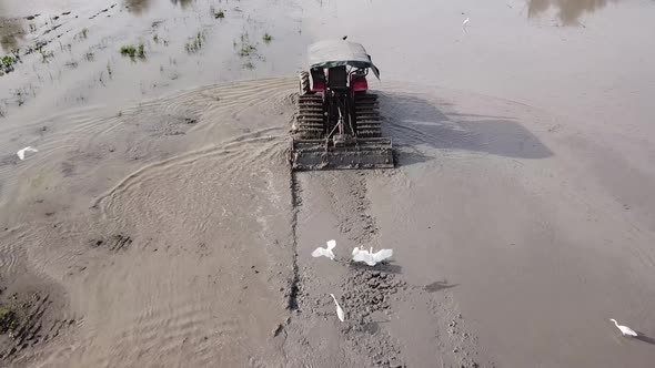 Tractor plough soil rice paddy, agriculture 