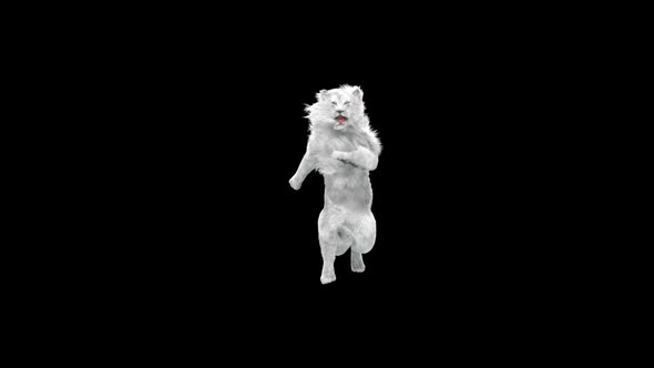 White Lion Dancing HD