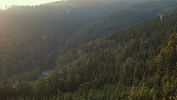 Aerial shot of a forest in Transylvania