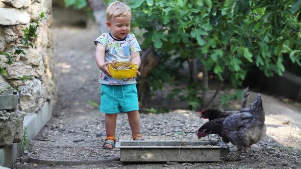 The little boy laughs, catches up and scares the chicken.