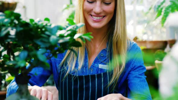 Smiling woman examining a pot plant