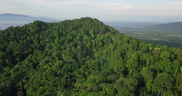 Dense forest trees growing on summit of mountain during cloudy day in Asia - Magnificent scenic over