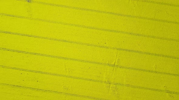 Top Down Aerial Shot of the Beautiful Blooming Canola Field During Day