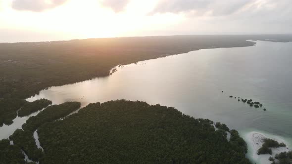 Coast of Zanzibar Island Tanzania Covered with Thickets