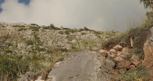 Beautiful Mountains Ohrid Macedonia