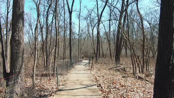 Hiking trail thru the woods in Wisconsin, dry tree branches during early spring