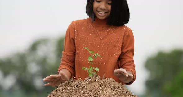 Girl planting young tree