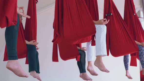 Women Legs with Bare Feet Hang Down From Fly Yoga Hammocks