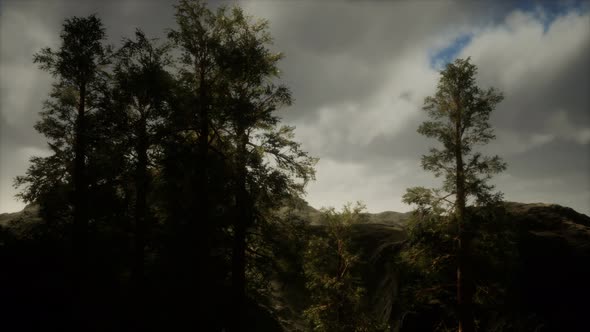 Fog and Pine Trees on Rugged Mountainside and Coming Storm