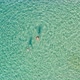 People swim in transparent turquoise blue sea water aerial still drone shot. - VideoHive Item for Sale